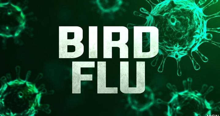 Bird flu hits Jefferson County poultry farm, quarantine in place