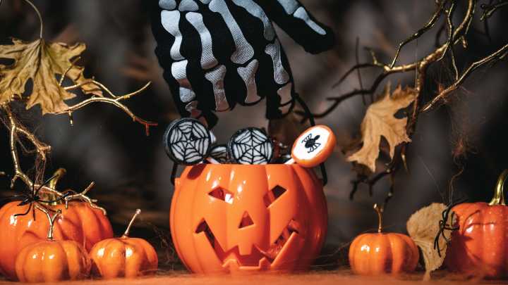 8 Best Halloween Candy Variety Packs For Chocolate Lovers