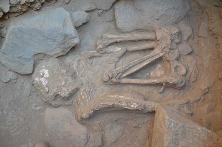 Descubren tumbas inéditas de 4.500 años en Perú, dentro del valle de Moche
