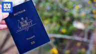 Australians 'at risk of identity theft' with tens of thousands of ID documents reported lost in post