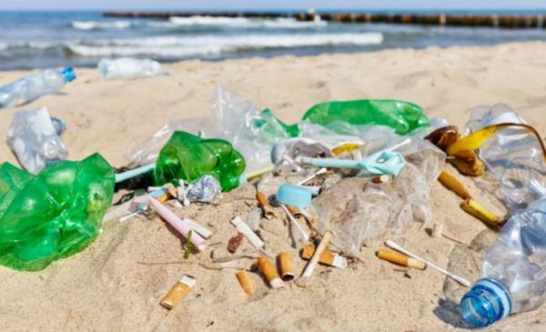 Ocho ediciones de conciencia: se viene otro Censo de Residuos Costero en Bahía
