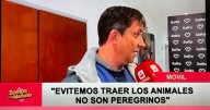 [ATENCIÓN] Conocé lo peligroso que es llevar a tu mascota a las peregrinaciones