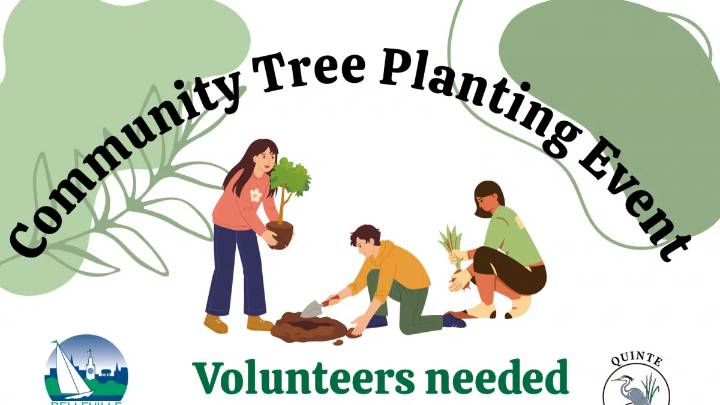 Community Tree Plant at Clifford Sonny Belch Park October 3 and 4