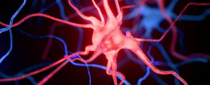 Microplastics Linked to Worsening Alzheimer's Symptoms in Mice