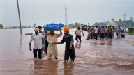 Punjab farmers stare at Rs 6,000-crore losses after floods ravage crops on around 5 lakh acres