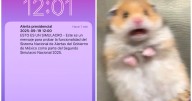 Segundo Simulacro Nacional 2025: Así sonó la alerta sísmica en celulares; redes se inundan de memes
