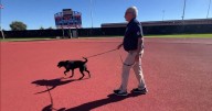 Denver Public Schools testing K9 security at events