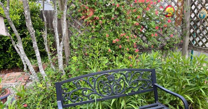 Timing for planting, pruning and fertilizing is crucial. Use this garden timeline from Dan Gill.