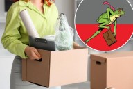 'Office frogging' upends offices as Gen Z workers rethink career goals