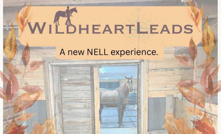 Lexie Lofgren of WildheartLeads to present at NELL