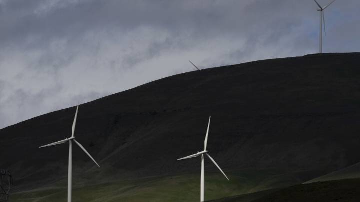 Energy Dept. tells employees not to use words including 'climate change' and 'green'