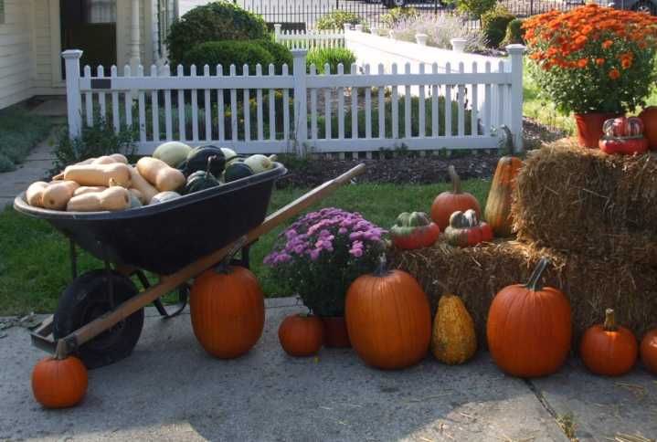 Experience old-fashioned fun at Historical Society’s Harvest Festival: Talk of the Towns