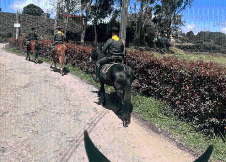 Policía refuerza seguridad rural en Boyacá con unidades de Carabineros
