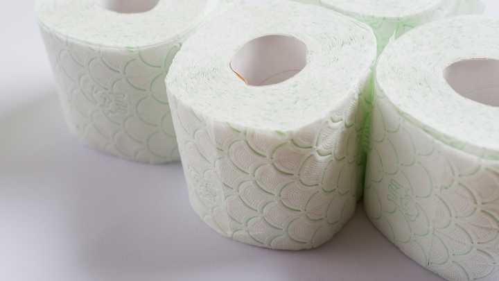 ¿Qué hacían nuestros antepasados ​​cuando no existía el papel higiénico?