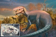 New species of 'apex predator' dinosaur discovered fossilized while chowing down on crocodile
