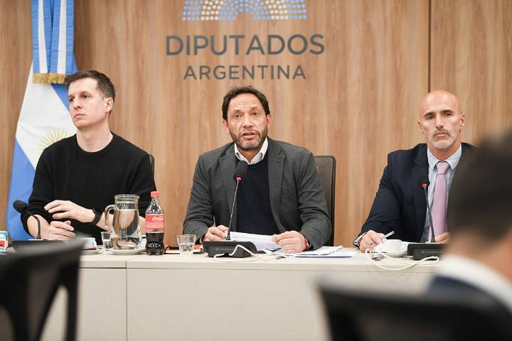 Comisión $Libra buscará citar por la fuerza a funcionarios del Gobierno