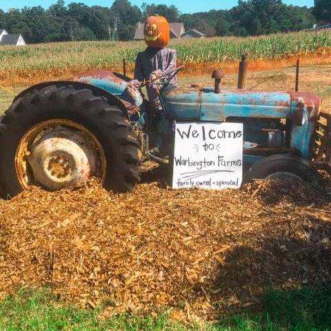 Staying in Forsyth County for Fall Break? Here’s how to have fun with your kids this week