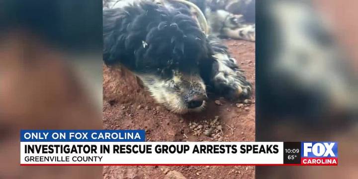 Greenville Co. investigator speaks out for first time after members of rescue group charged with stealing, euthanizing dog
