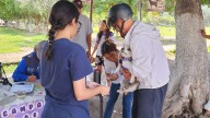 Más de 57 mil vacunas antirrábicas aplicadas a perros y gatos en el sureste