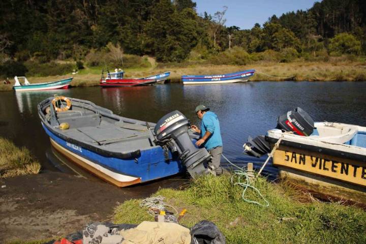 Pescadores de Hualpén piden infraestructura portuaria: acusan falta de seguridad tras robo de motor