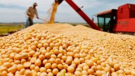 Retenciones: políticos vinculados al agro cuestionan al gobierno de Milei