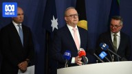 The Albanese government has learned from the last major climate commitment