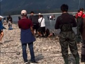 Fight breaks out over fish in Chilliwack