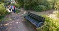 El PSOE de Granada exige una intervención "urgente" en los jardines de la calle Goleta “convertidos en una selva”