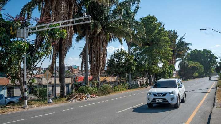 Atentos: Palmira está lista para maratón internacional y día sin carro este fin de semana; tome nota