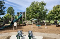 Naperville News Digest