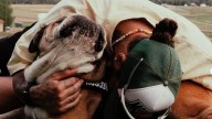 Muere Roscoe, el perro de Lewis Hamilton: "Ha sido una de las experiencias más duras de mi vida"
