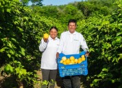 Comunidad Andina impulsará la producción agropecuaria inclusiva y sostenible