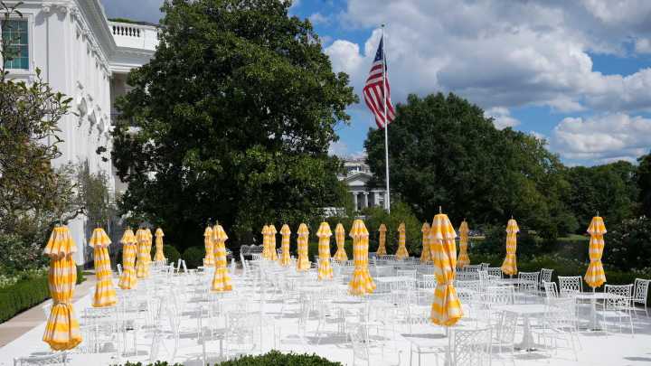 Trump’s dinner with tech CEOs at the White House won’t include Musk