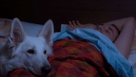 Man Who Needs To Wake Up Early Sets Dog To Vomit At 5:00 AM