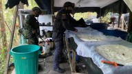Golpe a las finanzas criminales: desmantelado laboratorio de cocaína en Samaniego, 11 capturados