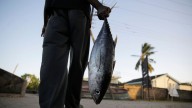 Long-wrought WTO agreement aimed at reducing overfishing takes effect