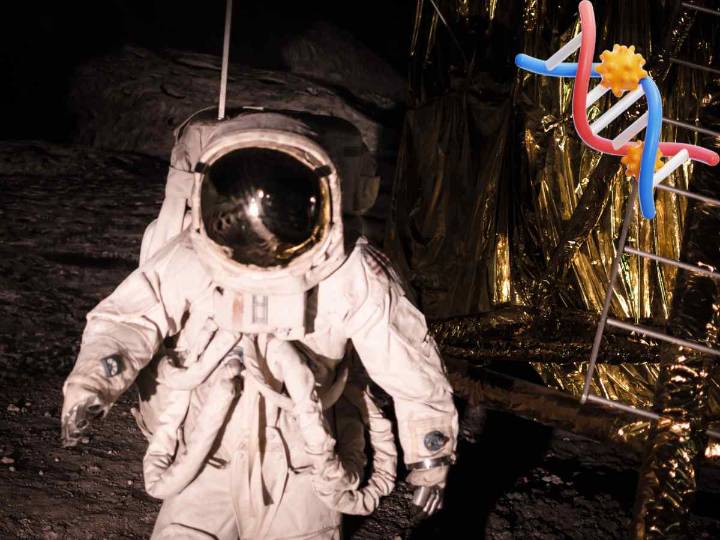 ¿Adiós al espacio? Estudio revela que los viajes espaciales activan el genoma oscuro del ADN