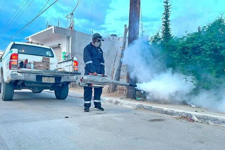Fumigación contra el dengue inicia el 19 de septiembre en Los Cabos