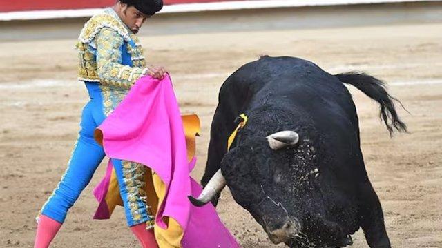 Tauromaquia en debate: entre la prohibición en Colombia y las voces que la defienden en el mundo