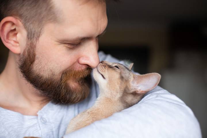 Cuando el caudal de amor va a los animales y no a los hijos