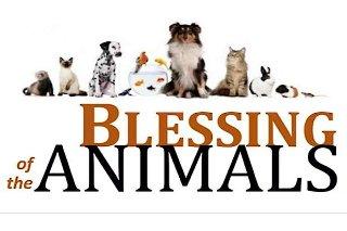 The Outer Banks Voice -   Annual Blessing of the Animals at OBX Presbyterian Church on Oct. 5