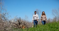 A year after Helene, Georgia farmers to see huge federal relief package