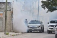 Casos de dengue incrementan en Quintana Roo: En 15 días se reportaron más de 20