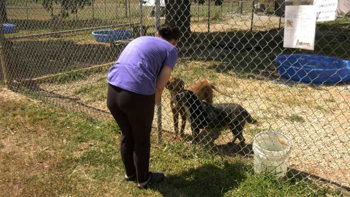 Pawty with a Purpose hosted by Logan County animal groups to benefit each other