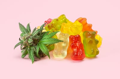 Why Tilray Brands Stock Exploded Today