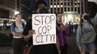 Judge Dismisses RICO Charges Against All 'Cop City' Defendants