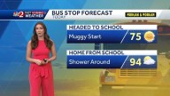 Muggy, warm morning followed by afternoon storm chances