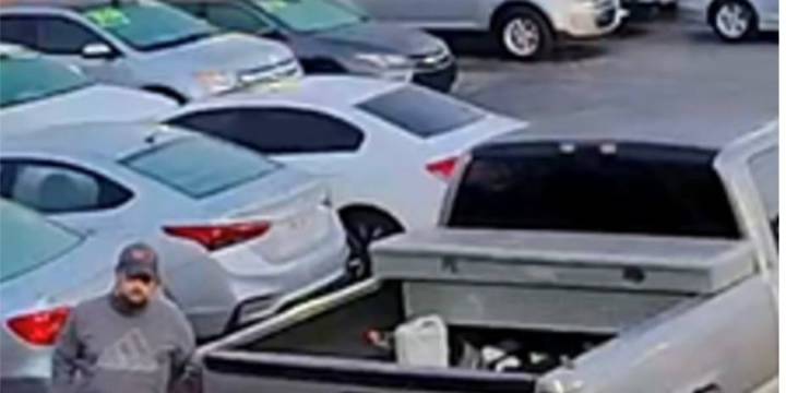 Man wanted for questioning in Gallatin theft