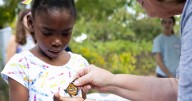 PlantFest! blooms this weekend at LSU Hilltop Arboretum