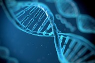 Top doc on how behavior can impact genetics: 'Our destiny is not fixed'